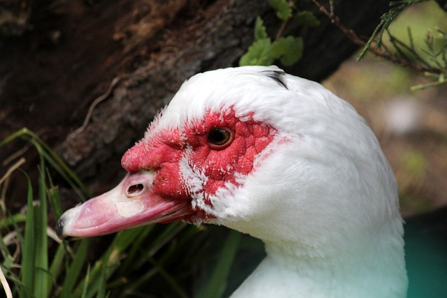 武体教授谈三镇输海牛：线上线下骂声一片，还不如上全替补